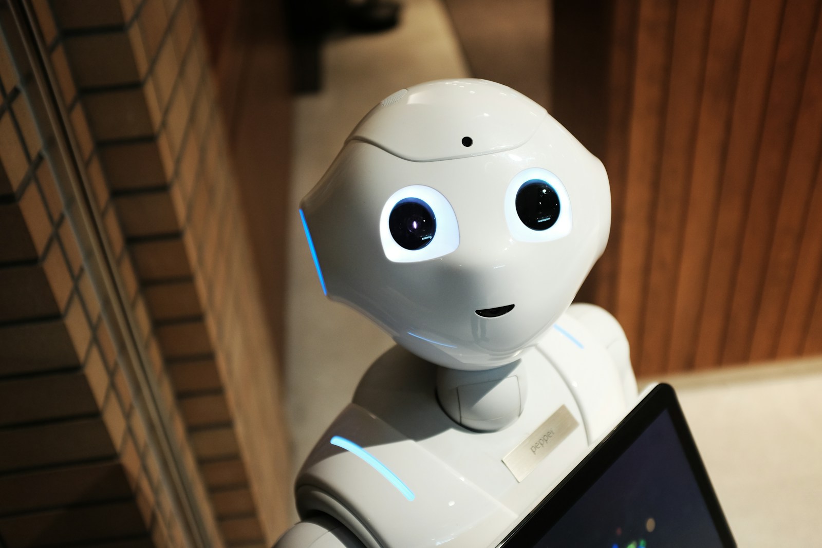 Service robot operating in a bright clinical corridor